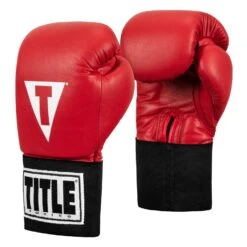 TITLE Boxing USA Boxing Competition Gloves - Elastic -Titleboxing Shop ACGES RD 02