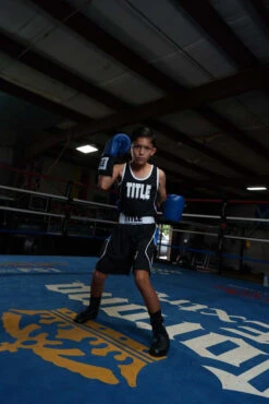 TITLE Boxing USA Boxing Competition Gloves - Elastic -Titleboxing Shop ACGESBL 1