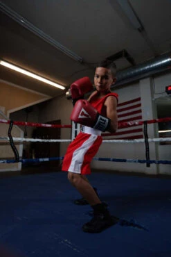 TITLE Boxing USA Boxing Competition Gloves - Elastic -Titleboxing Shop ACGESRD 3