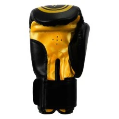 TITLE Classic Speed Boxing Gloves -Titleboxing Shop CABG12 BK GD 4