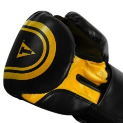 TITLE Classic Speed Boxing Gloves -Titleboxing Shop CABG12 BK GD 6