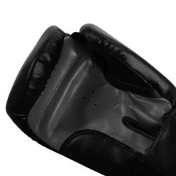 TITLE Classic Speed Boxing Gloves -Titleboxing Shop CABG12 BK GR 5