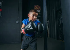 TITLE Classic Boxing Gloves -Titleboxing Shop CABGBKRD 3