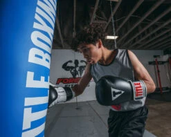 TITLE Classic Pro Style Training Gloves 3.0 -Titleboxing Shop CVVTG3BK 1