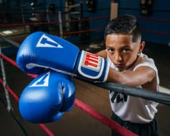 TITLE Classic Pro Style Training Gloves 3.0 -Titleboxing Shop CVVTG3BL 1