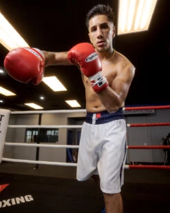 Fighting Professional Boxing Trunks -Titleboxing Shop FPSTWHBL