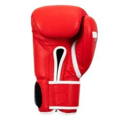 Fighting Fury Professional Training Gloves 33 Fighting Fury Professional Training Gloves -Titleboxing Shop FSFTGE RD 04
