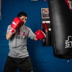 Fighting Fury Professional Training Gloves 30 Fighting Fury Professional Training Gloves -Titleboxing Shop FSFTGERD