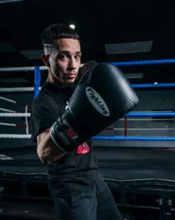 Fighting Fury Professional Lace Training Gloves -Titleboxing Shop FSFTGLBK 2