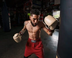 TITLE Boxing Honorary Bag Gloves -Titleboxing Shop GOSBGTNMR 1