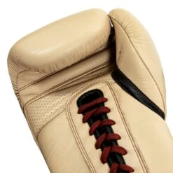 TITLE Boxing Honorary Sparring Gloves -Titleboxing Shop GOSSG CRL BNL BK 5
