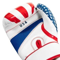 TITLE Boxing Infused Foam Combat USA Training Gloves -Titleboxing Shop HIFUTG 5