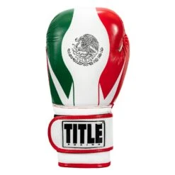 TITLE Boxing Infused Foam El Combate Mexico Training Gloves -Titleboxing Shop HIFXTG 3