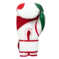 TITLE Boxing Infused Foam El Combate Mexico Training Gloves -Titleboxing Shop HIFXTG 4 b85957ca 7880 464f a065 66deb14b8b2c