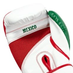 TITLE Boxing Infused Foam El Combate Mexico Training Gloves -Titleboxing Shop HIFXTG 5