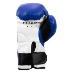 TITLE Classic Kid & Youth Boxing Gloves 2.0 -Titleboxing Shop KGLV2 BL WH BK 04