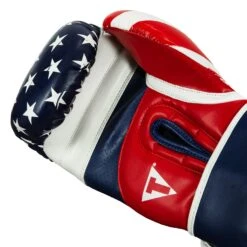 TITLE Boxing Liberty Bag Gloves -Titleboxing Shop LBTBG RD WH BL 5
