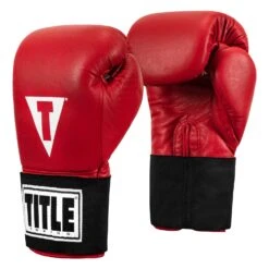 TITLE Boxing Masters USA Boxing Competition Gloves - Elastic 25 TITLE Boxing Masters USA Boxing Competition Gloves - Elastic -Titleboxing Shop MACGES RD 02