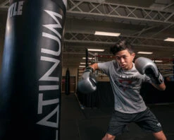 TITLE Platinum Prolific Training Gloves -Titleboxing Shop PLTGSVBK 1 1