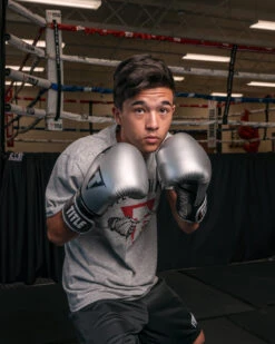 TITLE Platinum Prolific Training Gloves -Titleboxing Shop PLTGSVBK 1 2