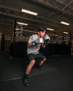 TITLE Platinum Prolific Training Gloves -Titleboxing Shop PLTGSVBK 1 3