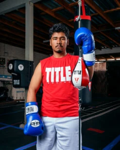 Pro Mex Professional Bag Gloves V3.0 -Titleboxing Shop PMHBG3BL 2