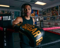 TITLE Boxing Sugar Ray Leonard Leather Bag Gloves -Titleboxing Shop SRLBG 2 1