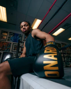 TITLE Boxing Sugar Ray Leonard Leather Bag Gloves -Titleboxing Shop SRLBG 2 2