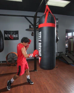 TITLE Boxing Titanic Flex-Strike Heavy Bag -Titleboxing Shop STRK3