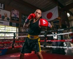 TITLE Boxing Edge Boxing Trunks 26 TITLE Boxing Edge Boxing Trunks -Titleboxing Shop TBTC2BKGD 2 3bfa2e68 ab0b 4f13 acb6 4f1710e57898