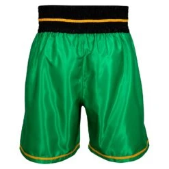 WBC By TITLE Boxing Professional Boxing Trunks -Titleboxing Shop WBCBT GN BK 3