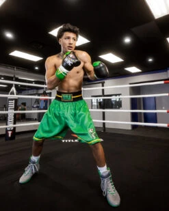 WBC By TITLE Boxing Professional Boxing Trunks -Titleboxing Shop WBCBTGN