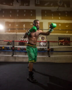 WBC By TITLE Boxing Professional Boxing Trunks -Titleboxing Shop WBCBTGRBK 2