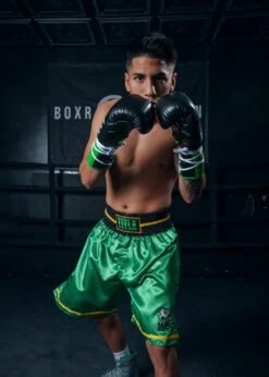 WBC By TITLE Boxing Professional Boxing Trunks -Titleboxing Shop WBCBTGR 3