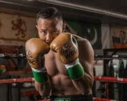 WBC By TITLE Boxing Jose Sulaiman Leather Gloves -Titleboxing Shop WBCJPFG