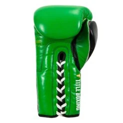 WBC By TITLE Boxing Sparring Gloves -Titleboxing Shop WBCSG GN BK 04