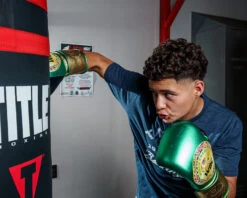 WBC By TITLE Boxing Green Belt Bag Gloves -Titleboxing Shop WGBBGGNGD 1