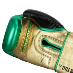 WBC By TITLE Boxing Green Belt Training Gloves 1.0 -Titleboxing Shop WGBTG GN GD BK 5