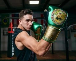 WBC By TITLE Boxing Green Belt Training Gloves 1.0 -Titleboxing Shop WGBTGGNGDBK 3