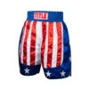TITLE Boxing USA Stock Boxing Trunks -Titleboxing Shop btusa2 01