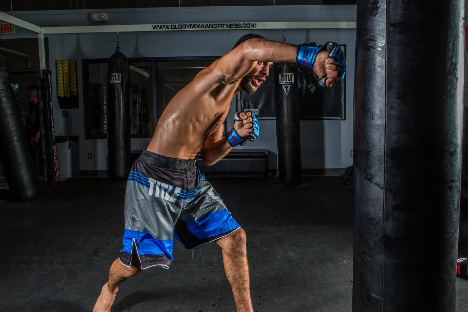 TITLE MMA Menace Metallic Training Gloves 4 TITLE MMA Menace Metallic Training Gloves - Image 2