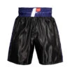 Fighting Professional Boxing Trunks -Titleboxing Shop fpst bk bl 1 1