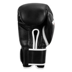 Fighting Fury Professional Training Gloves 26 Fighting Fury Professional Training Gloves -Titleboxing Shop fsftge bk 04