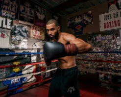 TITLE Boxing Honorary Sparring Gloves -Titleboxing Shop gossg bk bnl 3 1 1