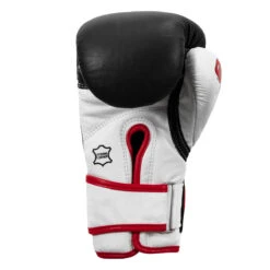 TITLE Boxing Gel World Bag Gloves -Titleboxing Shop gtwbg bk wh 0004