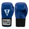 TITLE Boxing Masters USA Boxing Competition Gloves - Elastic -Titleboxing Shop macges bl 01
