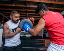 TITLE Boxing Memory Foam Punch Shield 13 TITLE Boxing Memory Foam Punch Shield -Titleboxing Shop mfmps gr rd bk 3