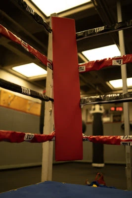 TITLE Boxing Blank Pro Corner Cushion V3.0 - Single 9 TITLE Boxing Blank Pro Corner Cushion V3.0 - Single - Image 7