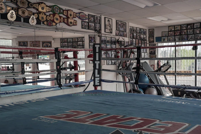 TITLE Boxing Jumbo Corner Cushions V3.0 – Set Of 4 9 TITLE Boxing Jumbo Corner Cushions V3.0 – Set Of 4 - Image 7