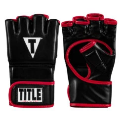 TITLE MMA Perform Hybrid Sparring Gloves 2.0